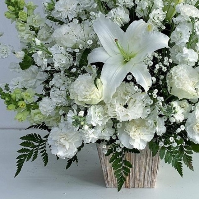 大輪の白ユリ カサブランカなど百合 ゆり クール便不可 フラワーアレンジメント のお供え花 大輪の白ユリ カサブランカなど百合 ゆり クール便不可 フラワーアレンジメント のお供え花