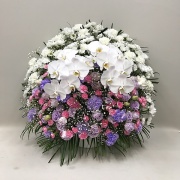 3314　【供花】スフェアアレンジメントPP胡蝶蘭2本入（H75）　Ｃスタイル