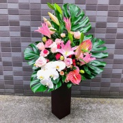 Ｐ系　トールアレンジメント