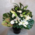 3016　【供花】　Ｗ菊×Ｗユリ　　アレンジメント