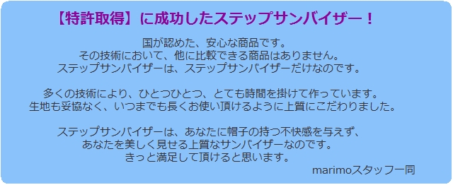 ステップサンバイザー Normal Version