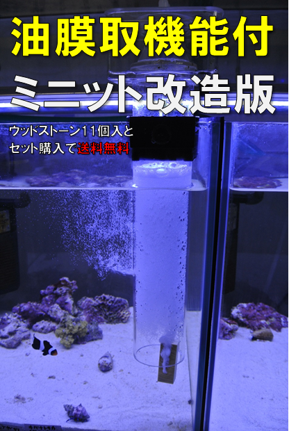 海水魚サンゴ販売専門店 マリンキープ 海水販売 海水宅配サービス 当店オリジナルウッドストーン プロテインスキマー販売 ハタゴイソギンチャク販売