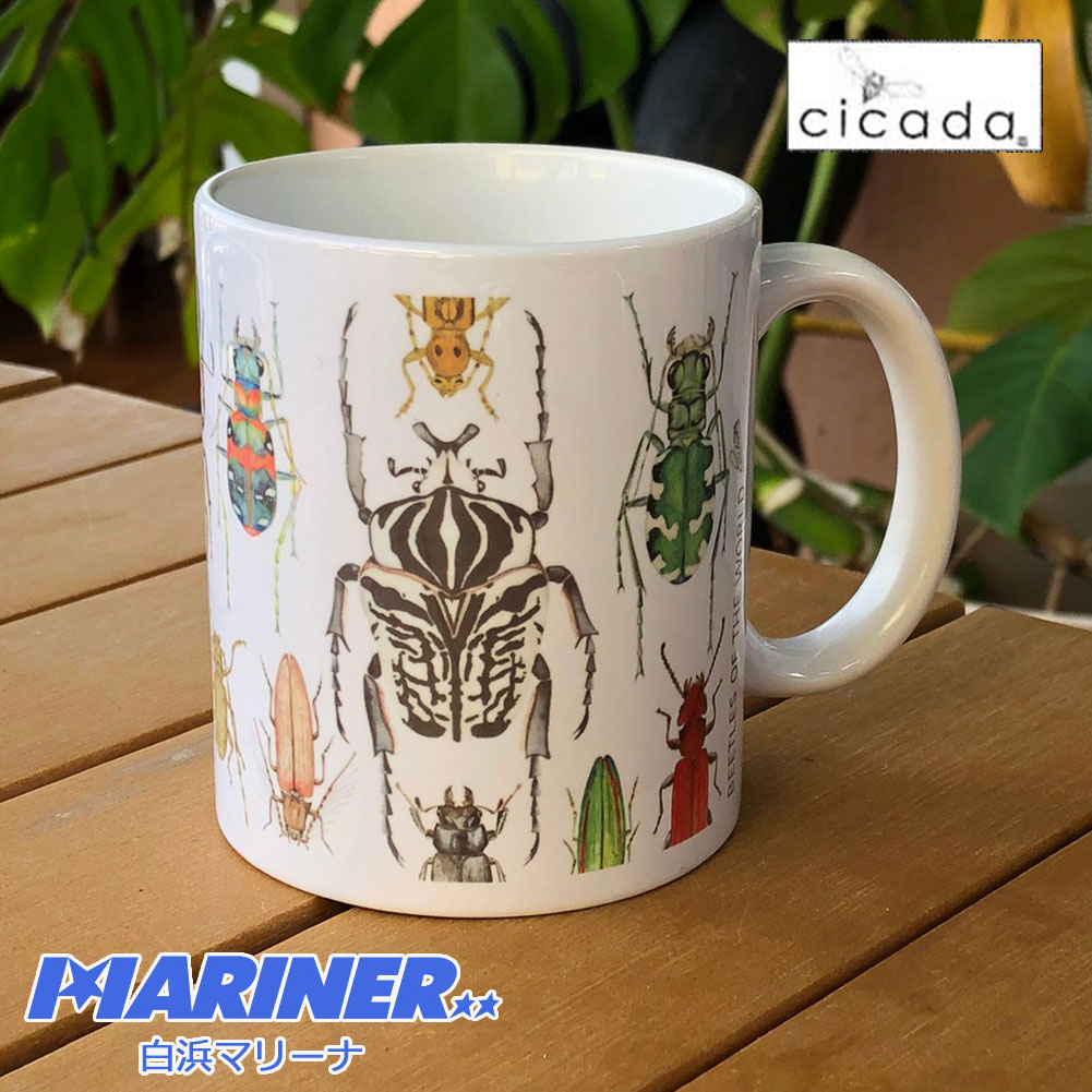 cicada シカダ昆虫マグカップ大 ラッセル・ウィルス ティーカップ コーヒーカップ