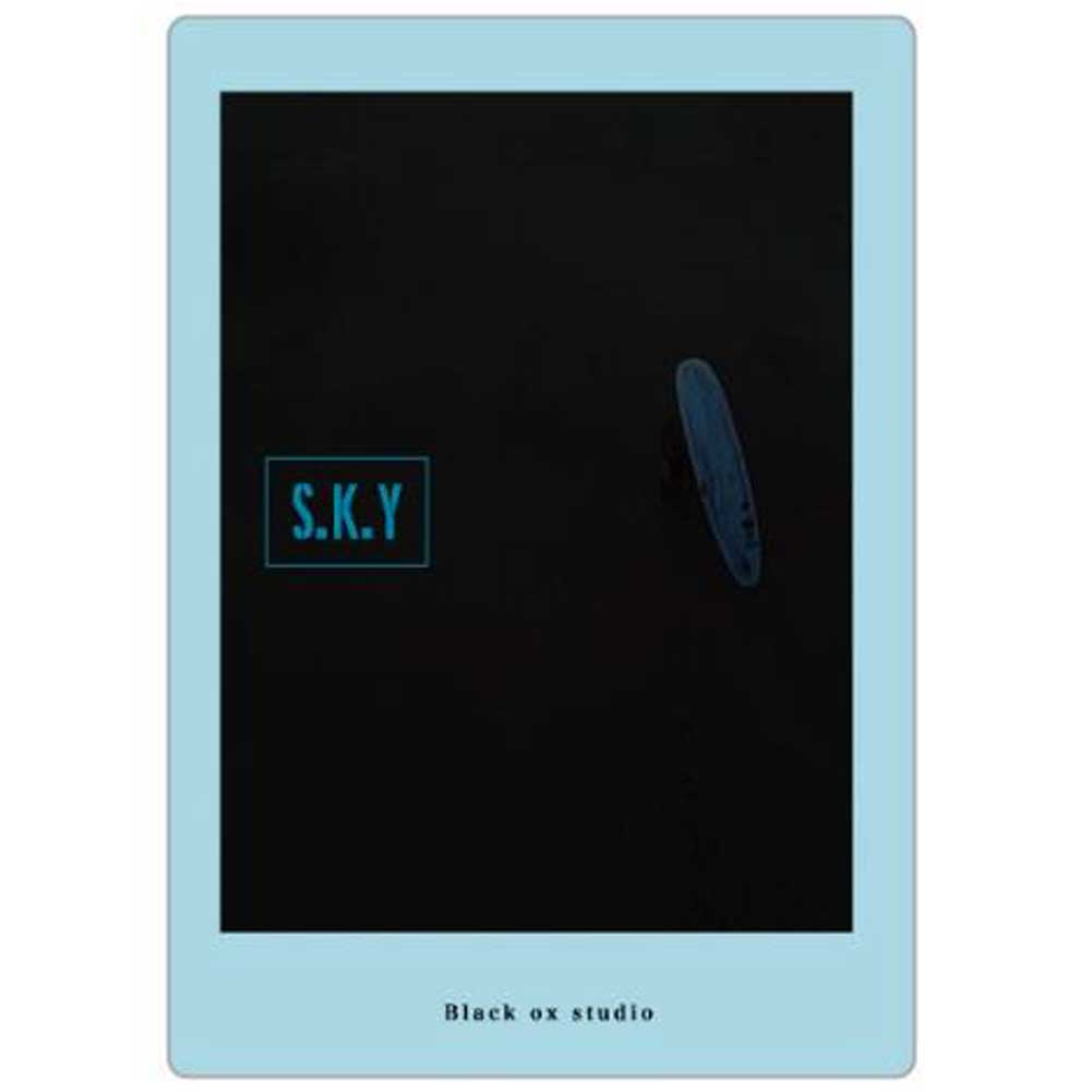 S.K.Y スカイ by Black Ox studio/ロングボード　サーフィンDVD【ゆうパケット対応】