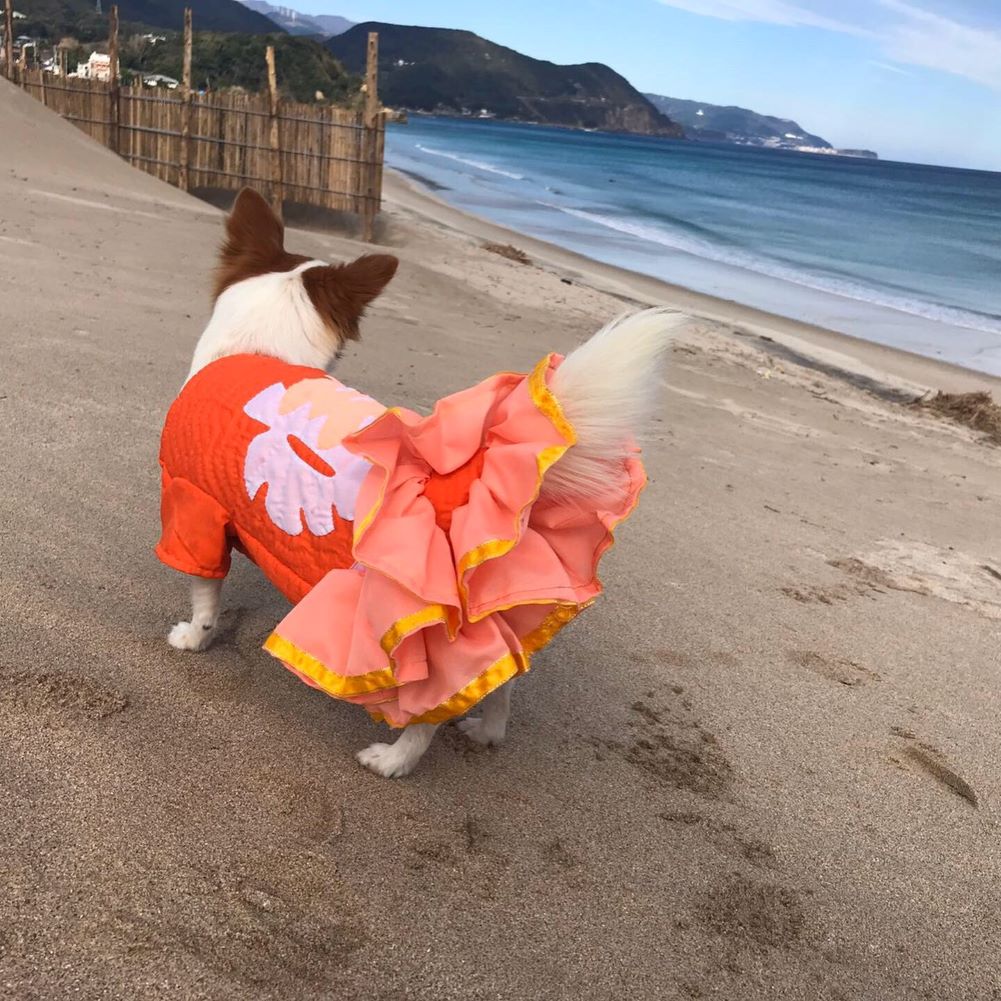 犬 服 秋冬 ハワイアンキルト ドックウエア パーカー スカート ペット用品 犬 2019秋冬 人気 おススメ オシャレ 通販 白浜マリーナ