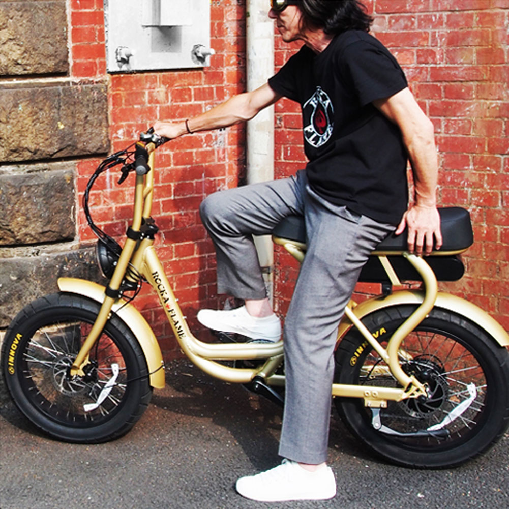 電動アシスト付き自転車ロカフレームフーマシャンパンゴールドrockaflamefumae Bike