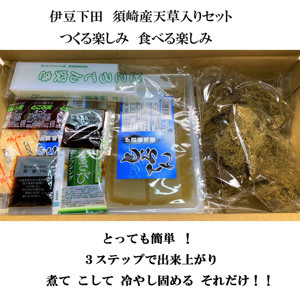 ところてん 須崎 高級天草 天草入りところてんセット タレ4種 角2p 簡易突き棒 天草30g