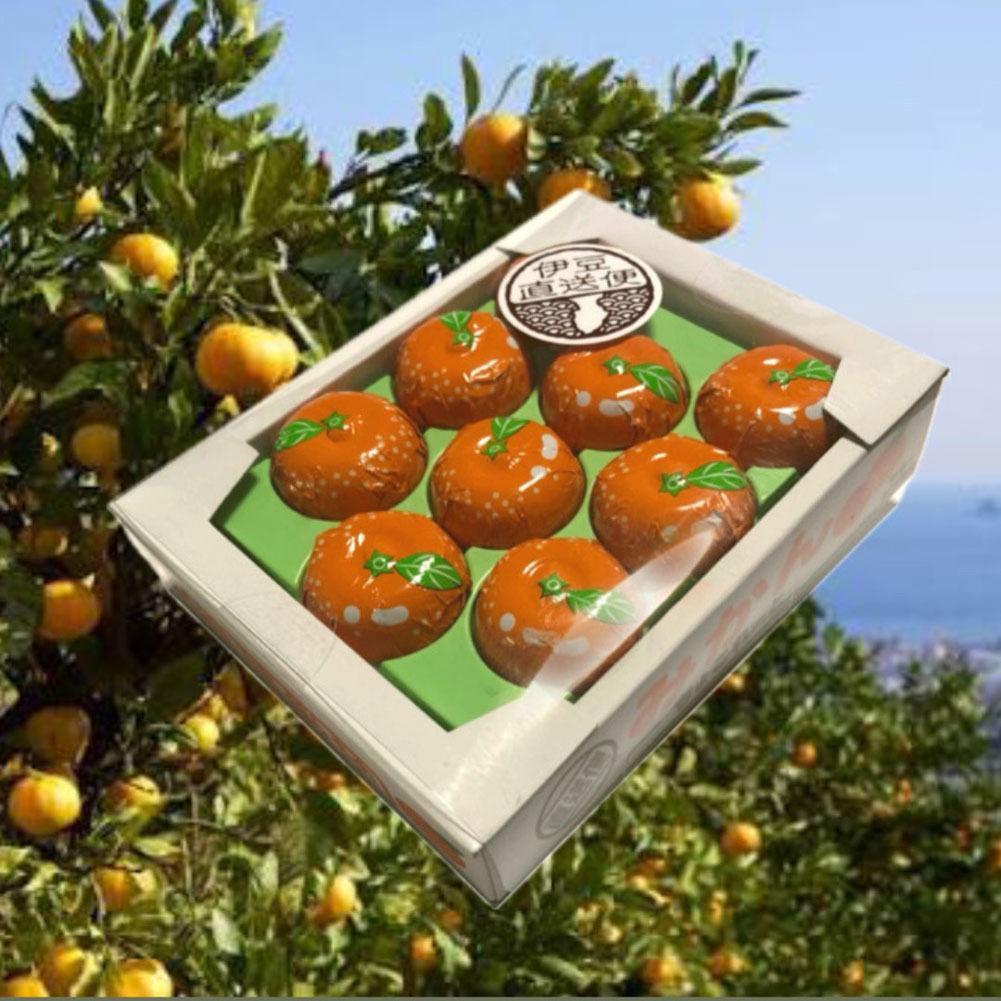 みかんチョコレート