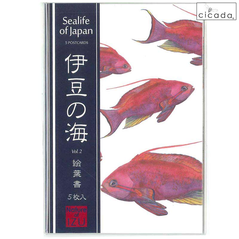 cicada　5枚入り絵葉書　伊豆の海　Vol.2　Sealife of Japan/ポストカード