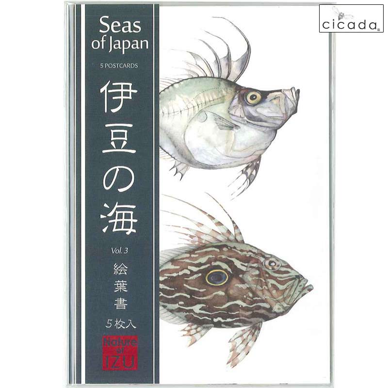 cicada　5枚入り絵葉書　伊豆の海　Vol.3　Seas of Japan/ポストカード