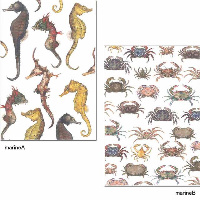 cicada 和紙はがき ばら売り 海シリーズ 魚 ポストカード