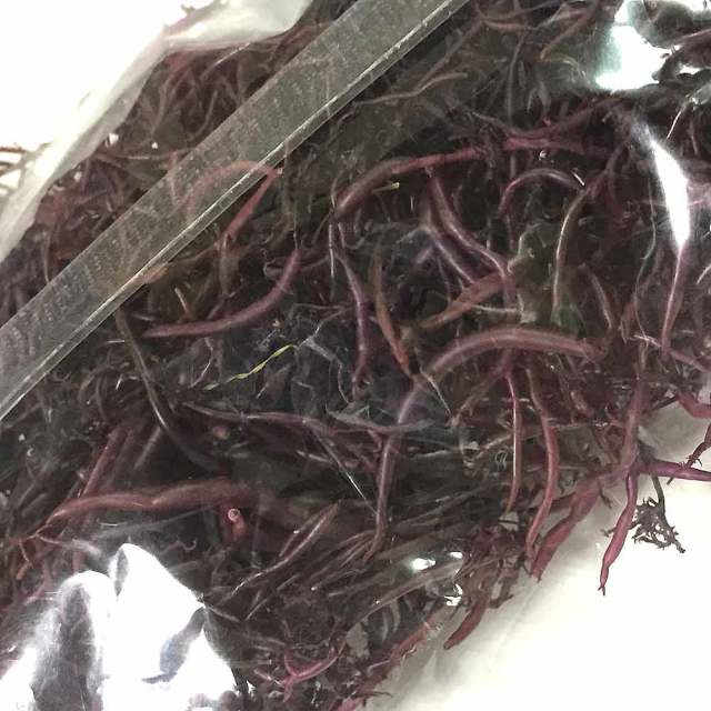 糸ひじき80g×ふのり30gセット 伊豆下田産 天然物 ひじき 特産品 お土産 下田 健康 お歳暮 国産 海産物