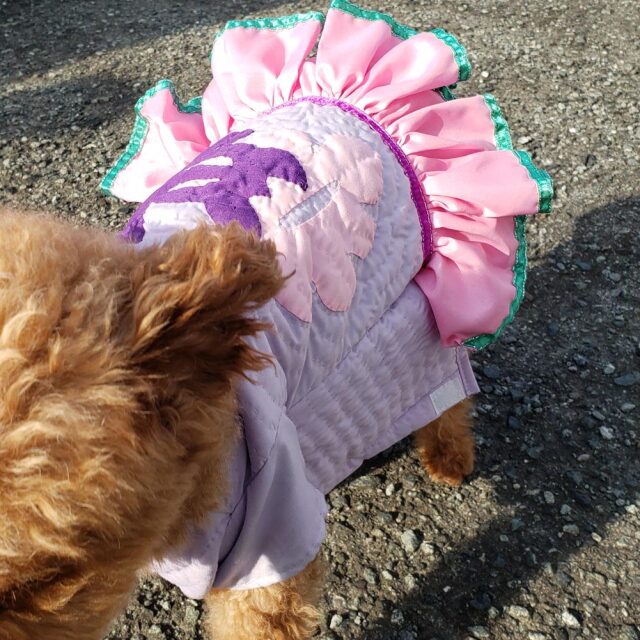 犬服 ハワイアンキルト ドッグウェア パープル パーカー スカート 