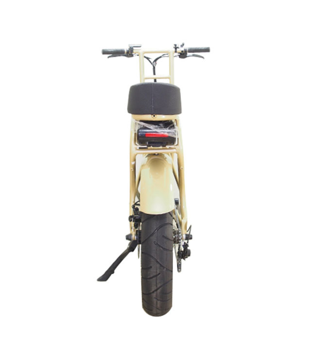 電動アシスト付き自転車ロカフレームフーマシャンパンゴールド 