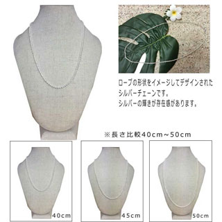 ハワイアンジュエリー フィッシュフック×ホヌ メンズ シルバー