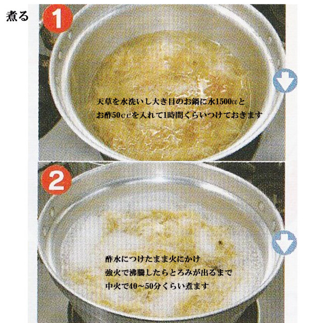 ところてん 須崎 高級天草 天草入りところてんセット タレ4種 角2p 簡易突き棒 天草30g