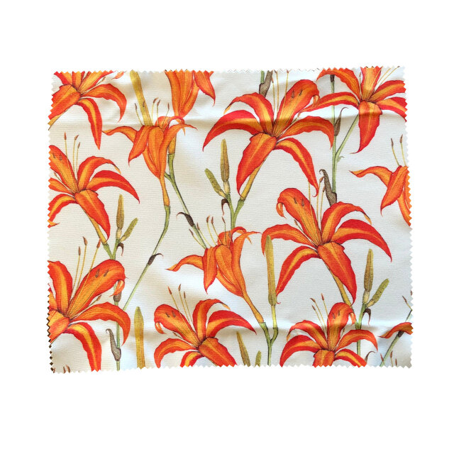 cicada クリーニングクロス マイクロファイバー めがねふき 伊豆