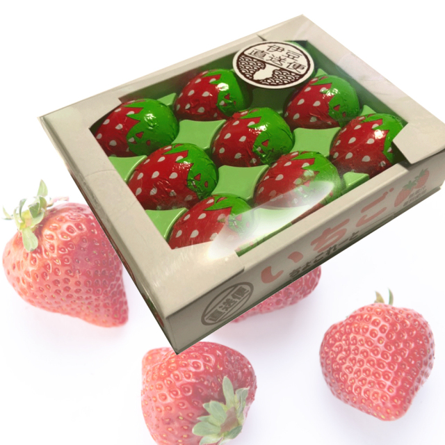 いちごちょこれーと チョコレート プチギフト 9粒入り