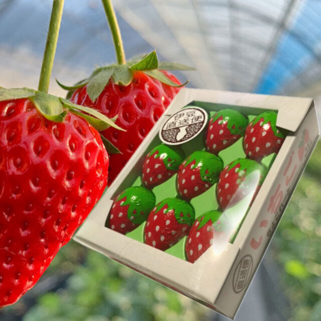 いちごチョコレート