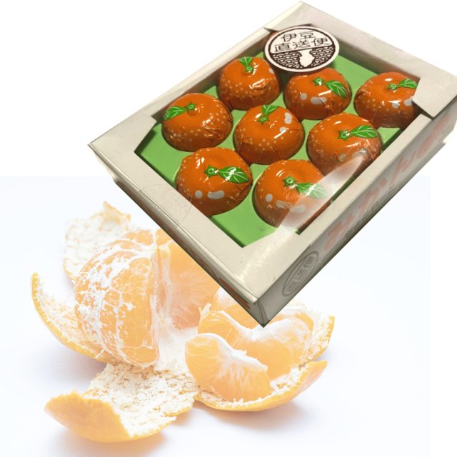 みかんちょこれーと チョコレート プチギフト 9粒入り