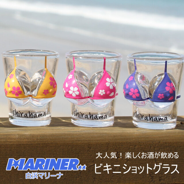 ☆超希少品☆ダイヤモンドドロップ グラムシャイン 限定品 馬毛のブラシプレゼント》100percent テンポドロップ グレー