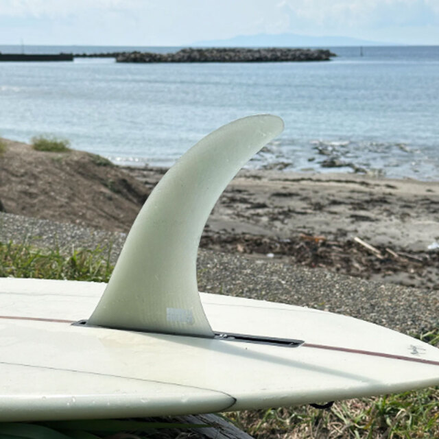 BEACHED DAYS アクアティックディビジョン