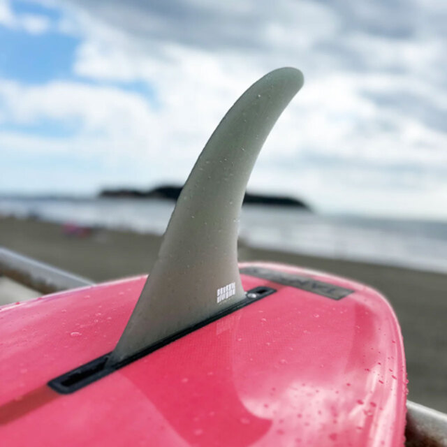 BEACHED DAYS アクアティックディビジョン