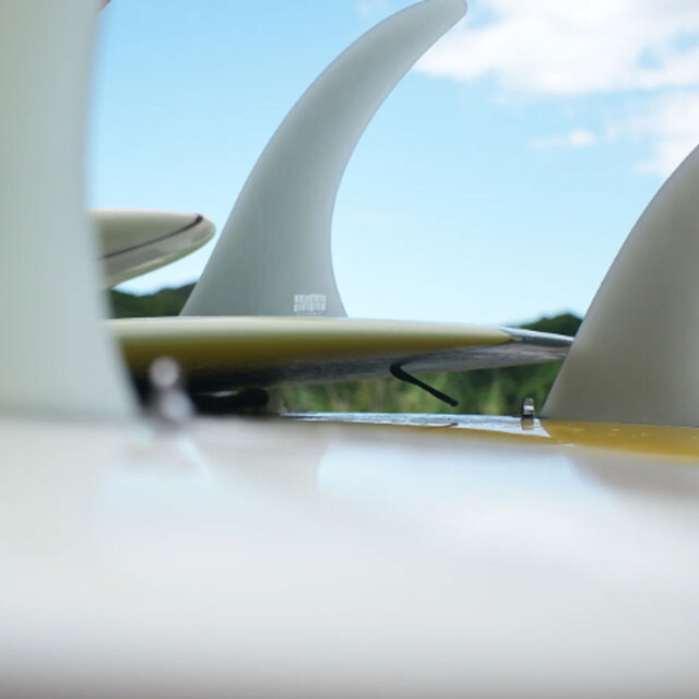 BEACHED DAYS アクアティックディビジョン