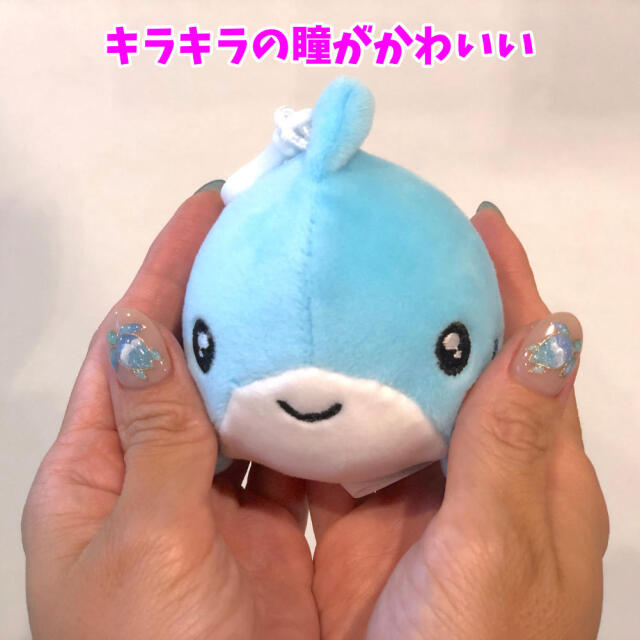 ぬいぐるみ キーホルダー スクイージーズ SQUEEZIES 海の生き物
