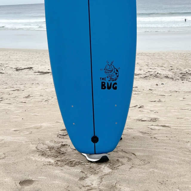 サーフィンソフトボードスポーツ マリンスポーツ ソフトサーフボード OCEAN&EARTH THE BUG SOFTBOARD 4'8 フィン付属