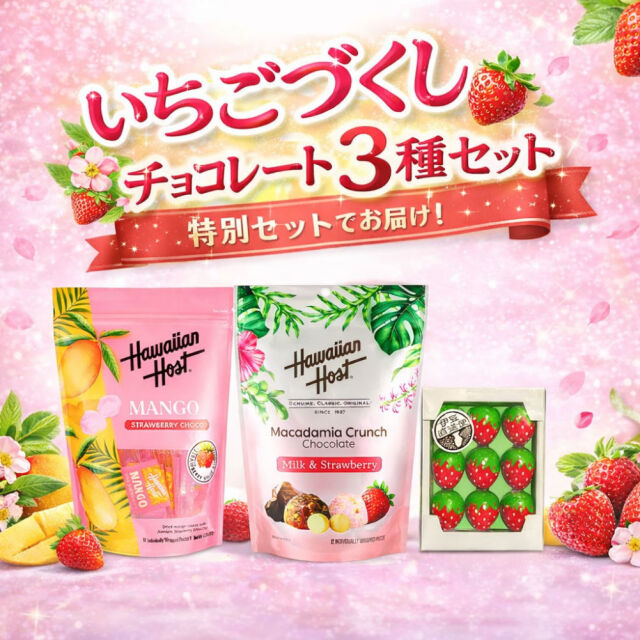 いちごづくし チョコレート 3種 セット バレンタイン ホワイトデー
