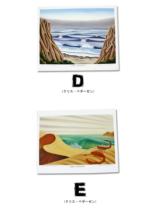 CALIFORNIA COLLECTION カリフォルニアコレクション サーフアート