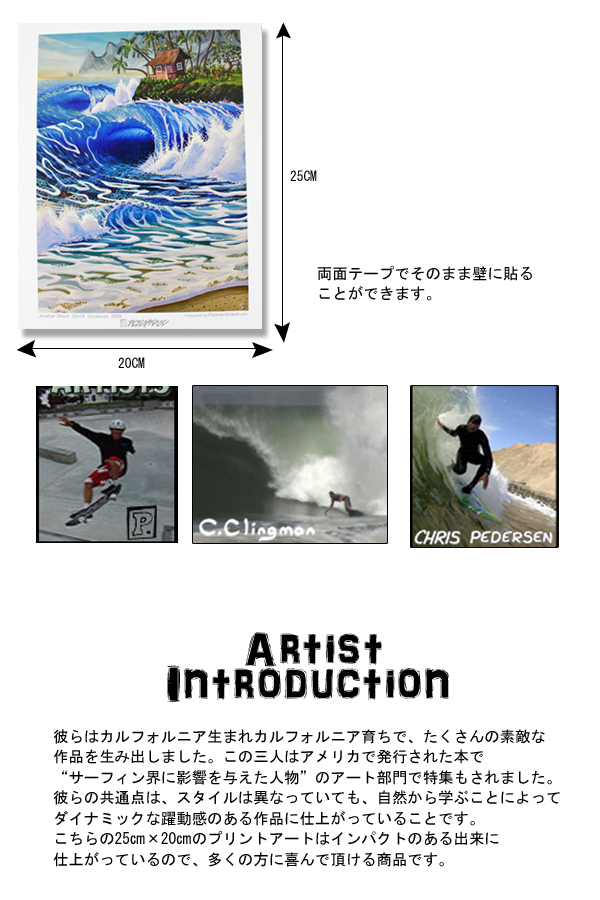 CALIFORNIA COLLECTION カリフォルニアコレクション サーフアート