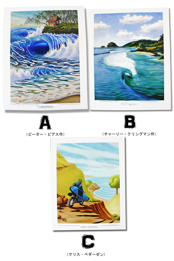 CALIFORNIA COLLECTION カリフォルニアコレクション サーフアート