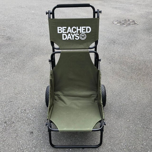 バギーチェア ビーチデイズ BEACHED DAYS Buggy Chair