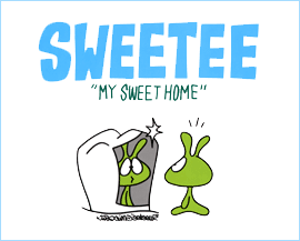 SWEETEE/MY SWEET HOME スウィーティー マイスウィートホーム 書籍　サーフィン / bk1520
