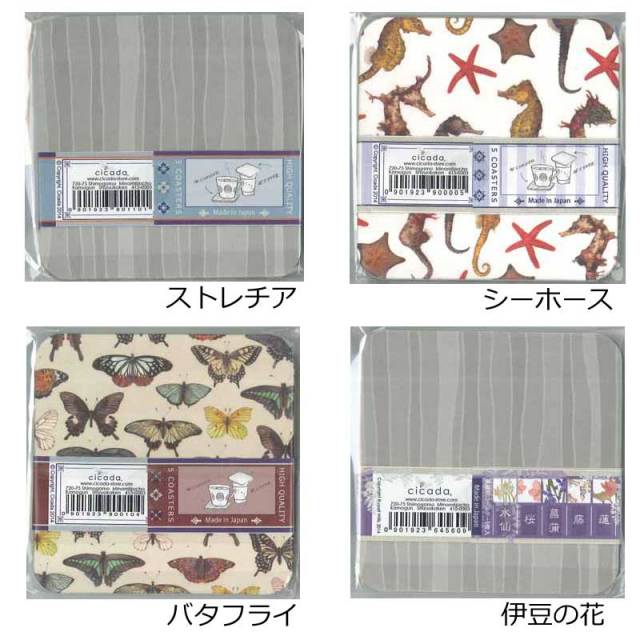 cicada 高級紙コースター5枚入りセット/タツノオトシゴ ストレチア 蝶
