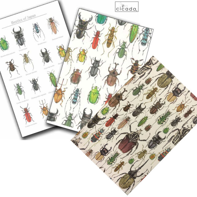 ポスト型はがき/2008年/夏 カブトとクワガタ ポスト型はがき/2008年/夏 カブトとクワガタ ポスト型はがき（夏