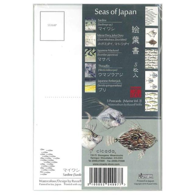 cicada 5枚入り絵葉書 伊豆の海 Vol.3 Seas of Japan/ポストカード