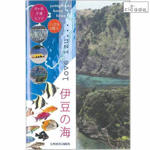 【貴重 明治の伊豆ガイド本】伊豆の浦つたひ cicada 5枚入り絵葉書 伊豆の海 Vol.4 Love izu/ポストカード 小浦