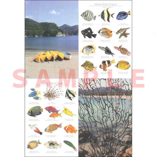cicada　5枚入り絵葉書　伊豆の海　Vol.4　Love izu