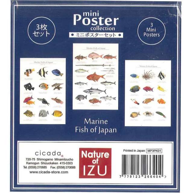 cicadaミニポスター日本の海の魚3枚セット