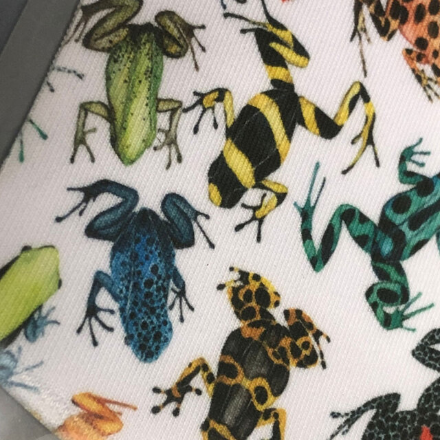シカダ カエルマスク 洗えるマスク ファッションマスク cicada frog