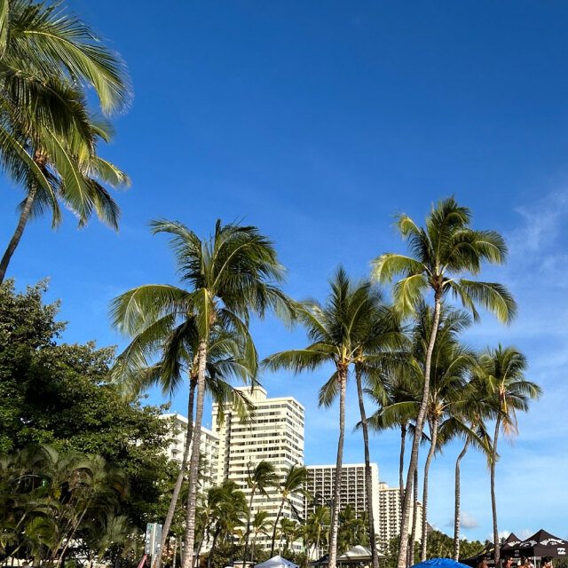 子供服ハワイアン アロハシャツセット ブルー パイナップル柄