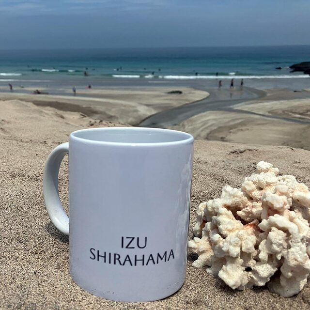 葛飾北斎 冨嶽三十六景 神奈川沖浪裏 和風 白浜神社 赤鳥居