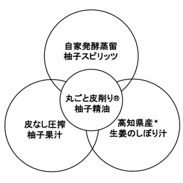 国産 柚子ジンジャー スパークリング ギフト 2本