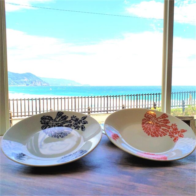 マリーナオリジナルお皿 18.5cm モンステラ柄 2カラー インテリア