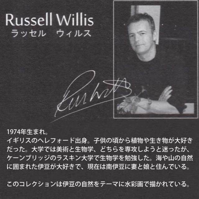 cicadaミニポスター昆虫3枚セットminiPostercollection