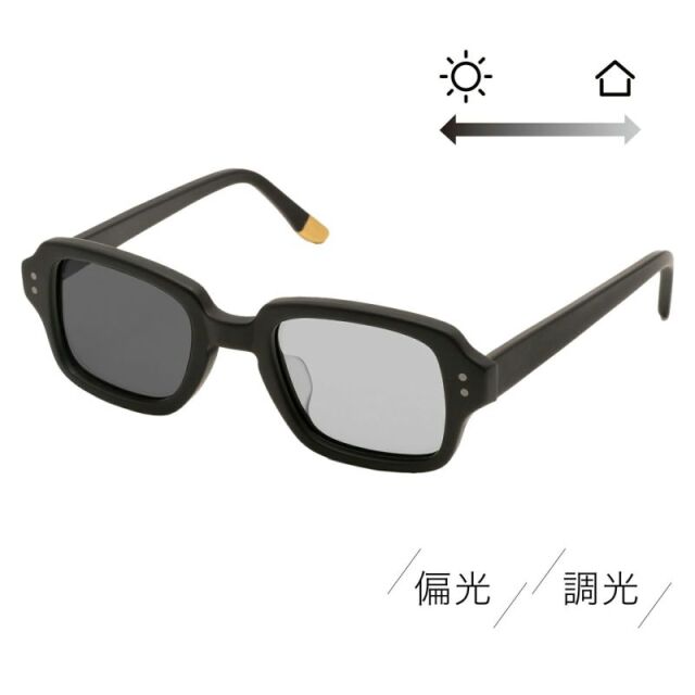 SABRE サングラス　デーモン セイバー サングラス SABRE SS21-105GMR-LG-J デーモン DEMON