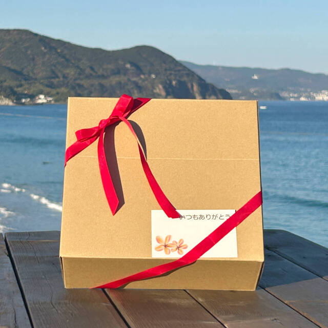 ビール セット 3本 リパブリュー REPUBREW 静岡県産 350ml 定番